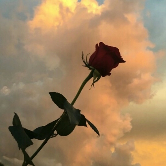 Meet your Posher - Picture 1 of 1